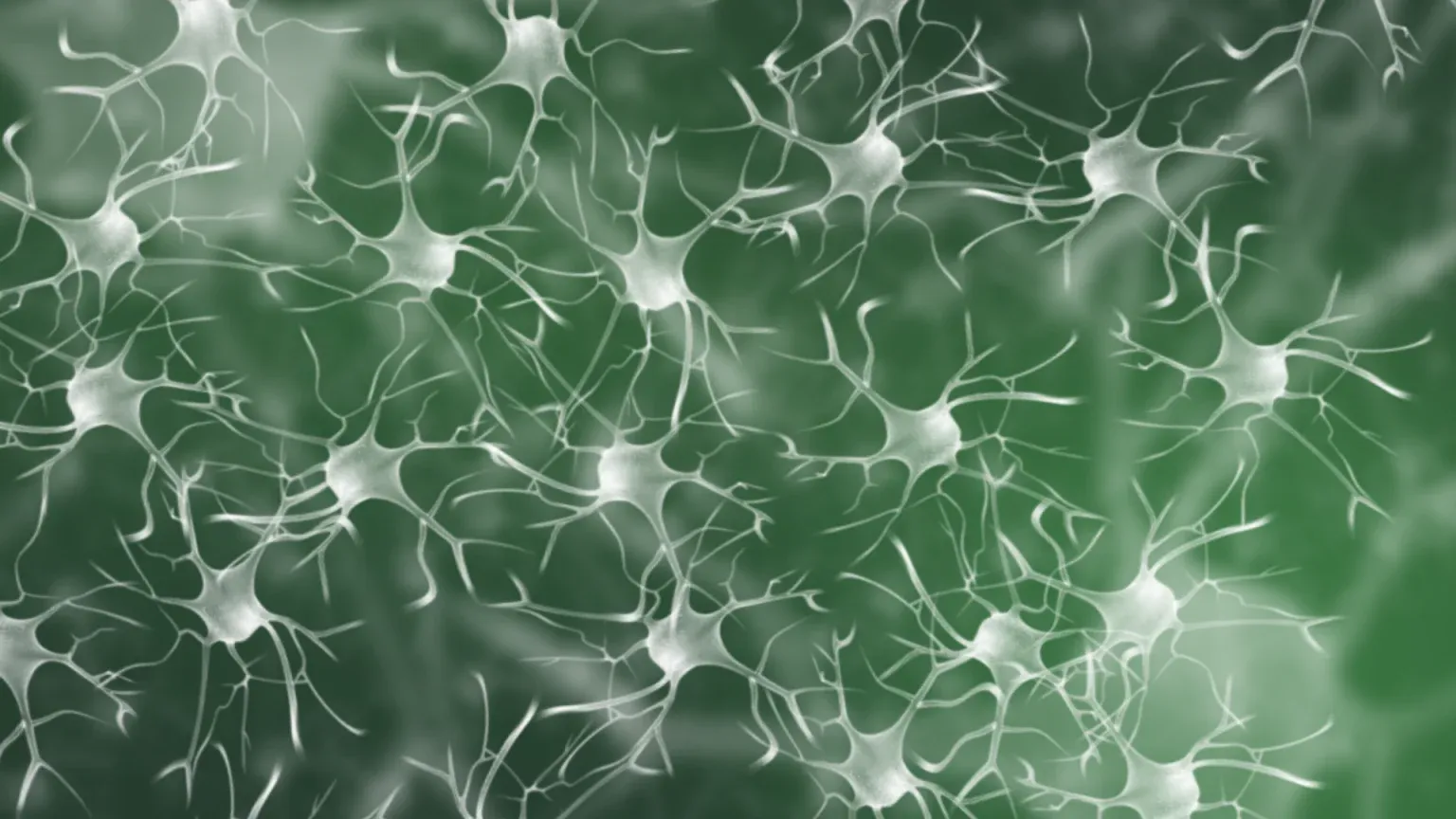 Imagen de El flujo de trabajo correcto